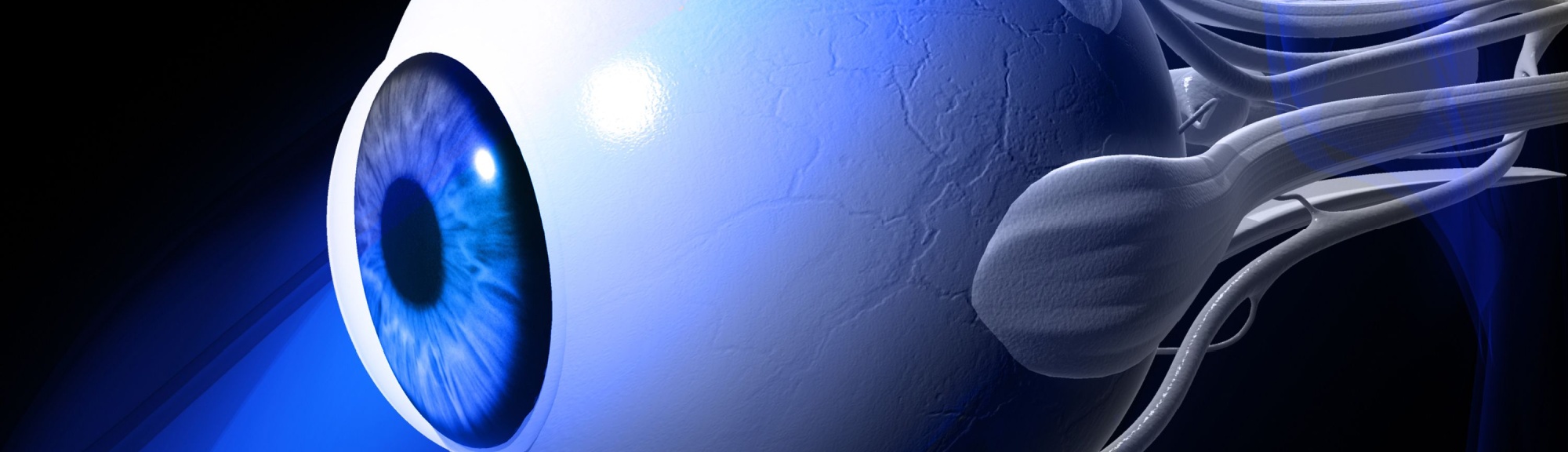 Allogeneic Solutions Xcellereyes Page Top 2000x576